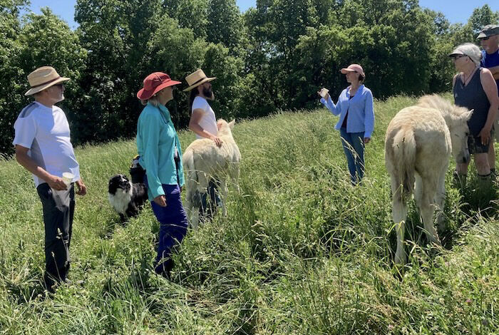 Graziers in field
