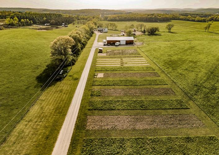 Farm