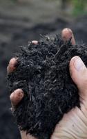 Better soil crucial to farm, environment