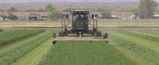 AutoFarm/MacDon AutoSteer 