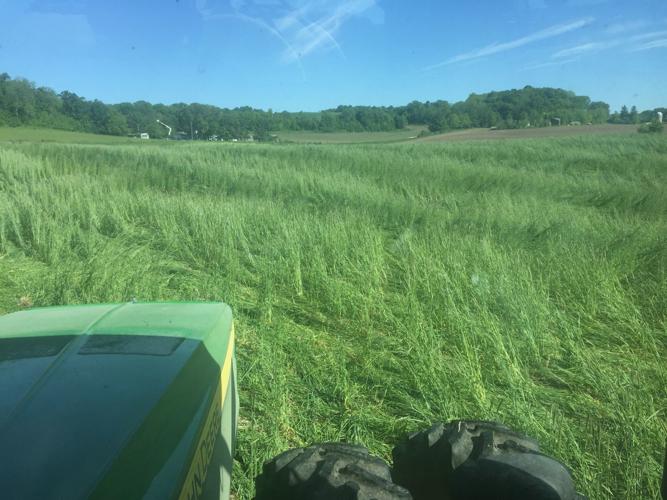 Planting green and no-till crops helps the ground hold water