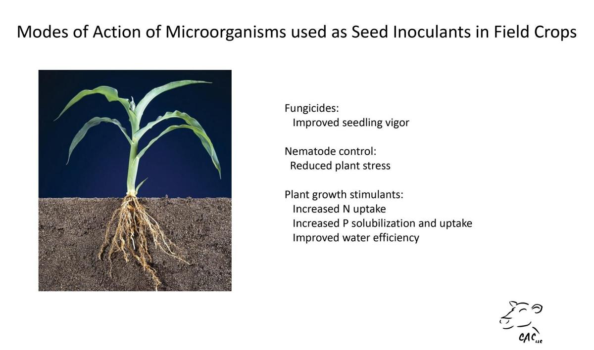 Microorganism functions