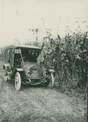 researcher checks corn from car