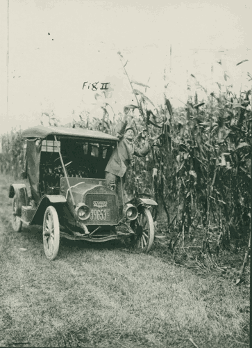 researcher checks corn from car