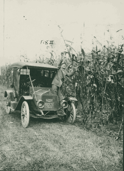 researcher checks corn from car