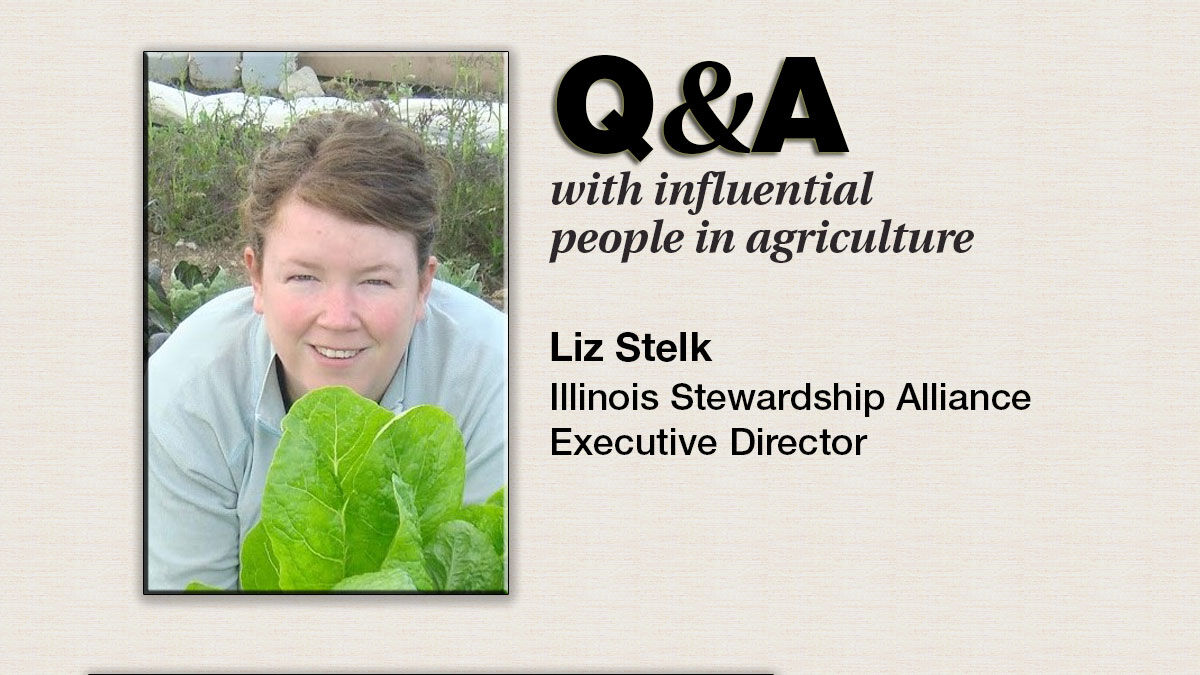 Q & A Liz Stelk
