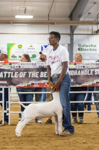 4-H goat 9.jpg