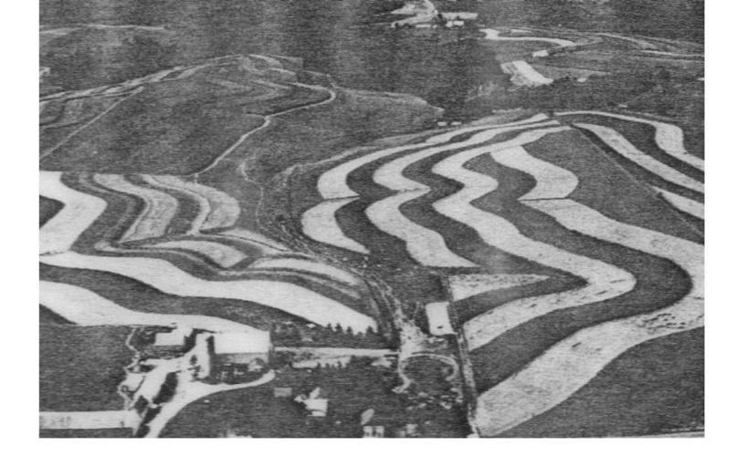 An example of strip cropping commonly found in Vernon County.