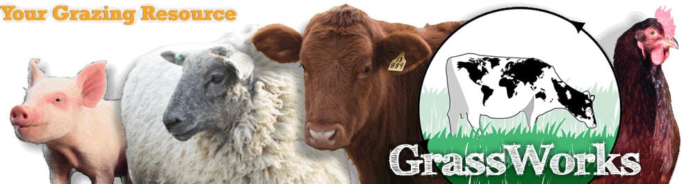 Grassworks logo