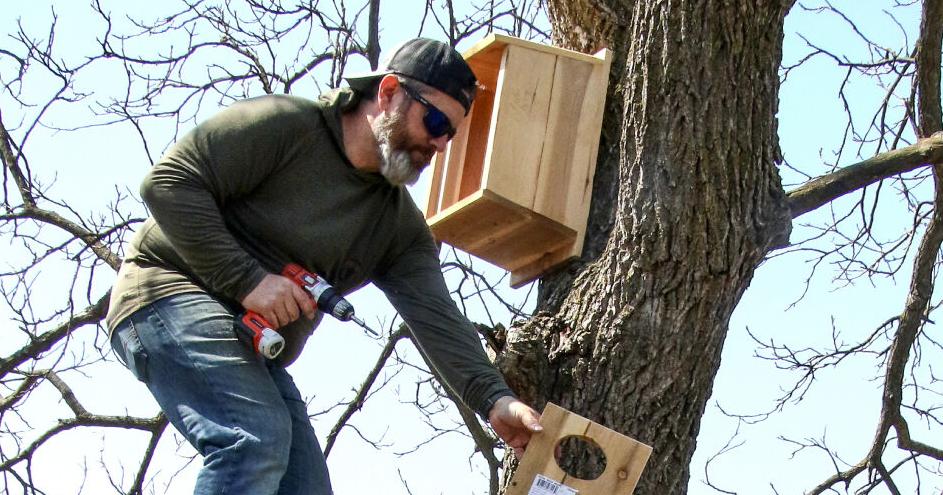 Wood duck box