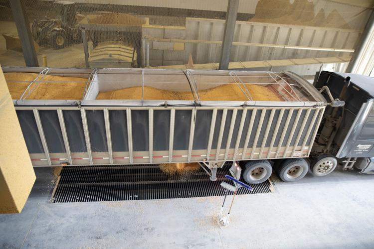 Unloading Corn to POET Facility.jpg