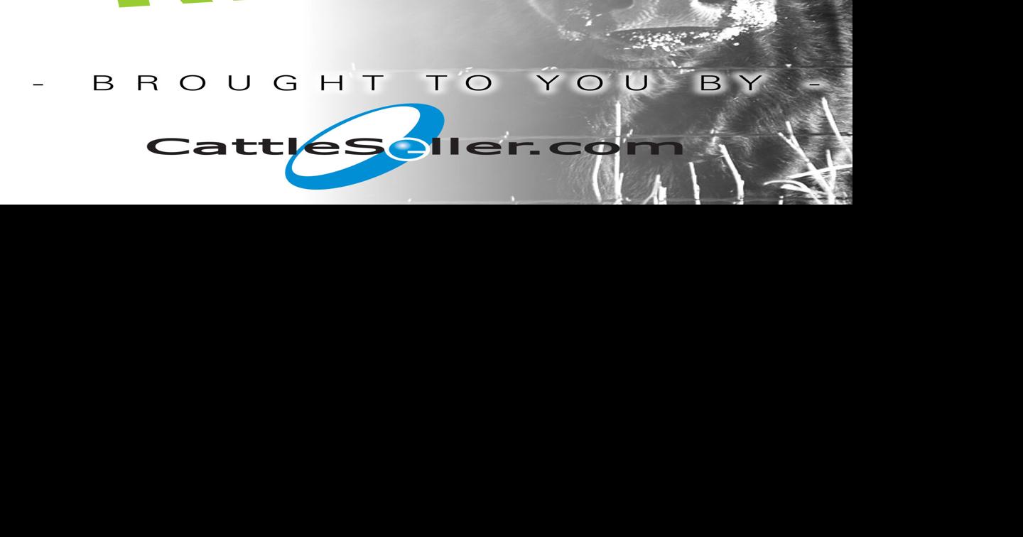 Rydeen Farms 28th Genetics with Vision Production Sale