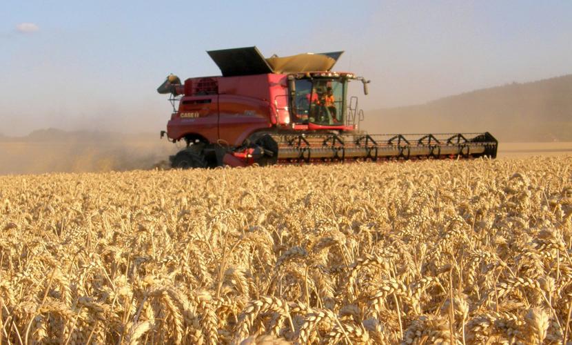 Case IH 250 Series harvest combine