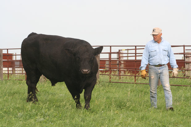 John Christensen and bull
