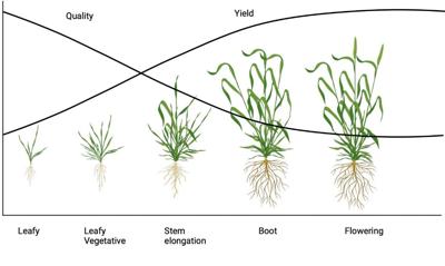 Pasture plan graphic