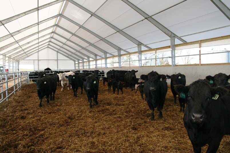 Fabric Clad Buildings Offer New Solutions To Agriculture