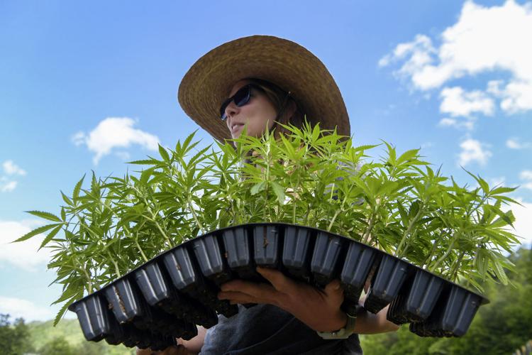 Meagan Coneybeer-Roberts