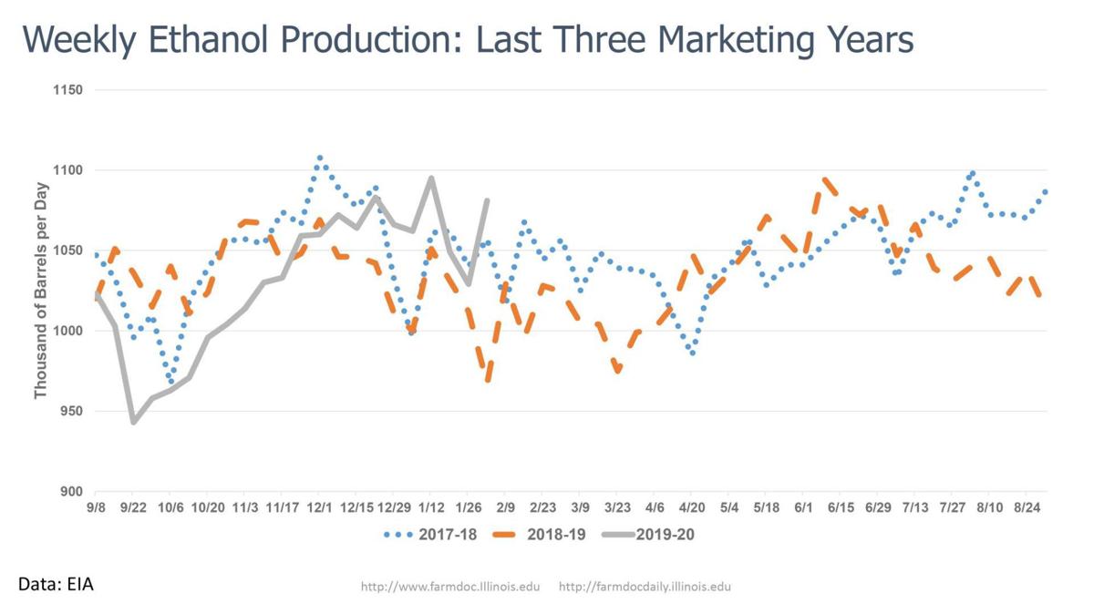 Corn consumption shows improvement