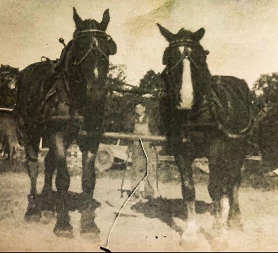 Tom Pfaff with horses