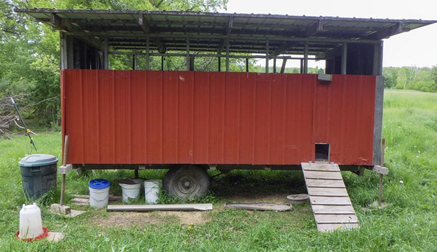 Chicken tractor