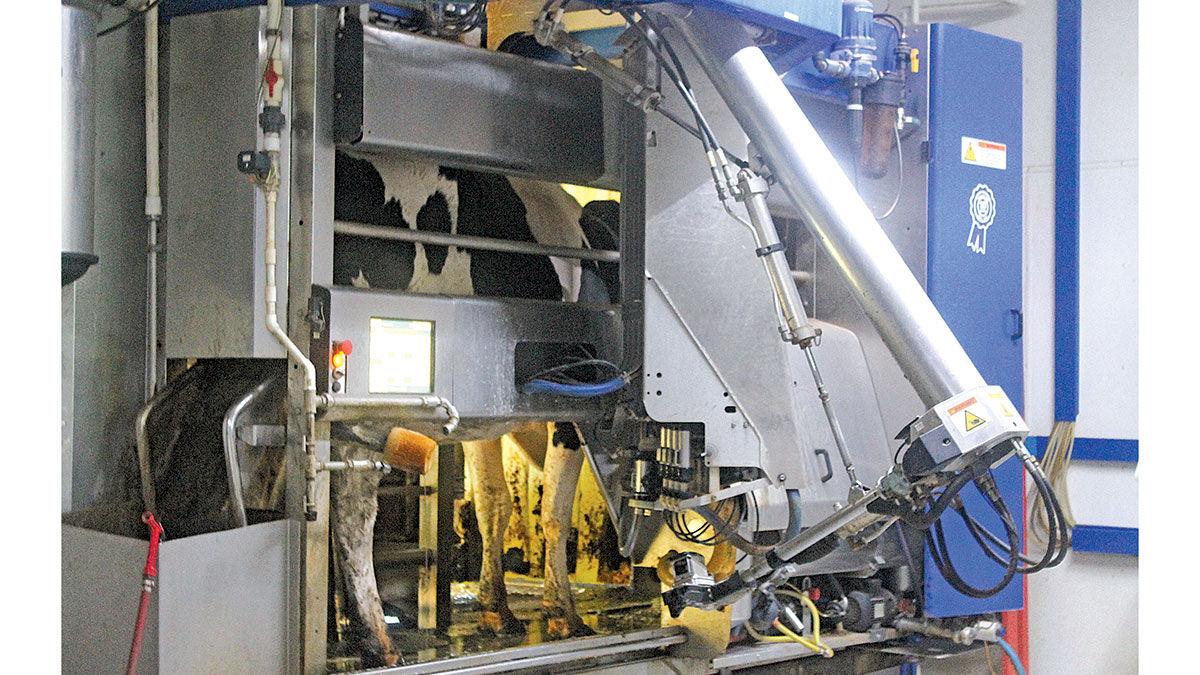 robotic milker