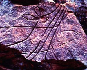 A deer rock carving at Gullickson’s Glen in Jackson County is likely thousands of years old.