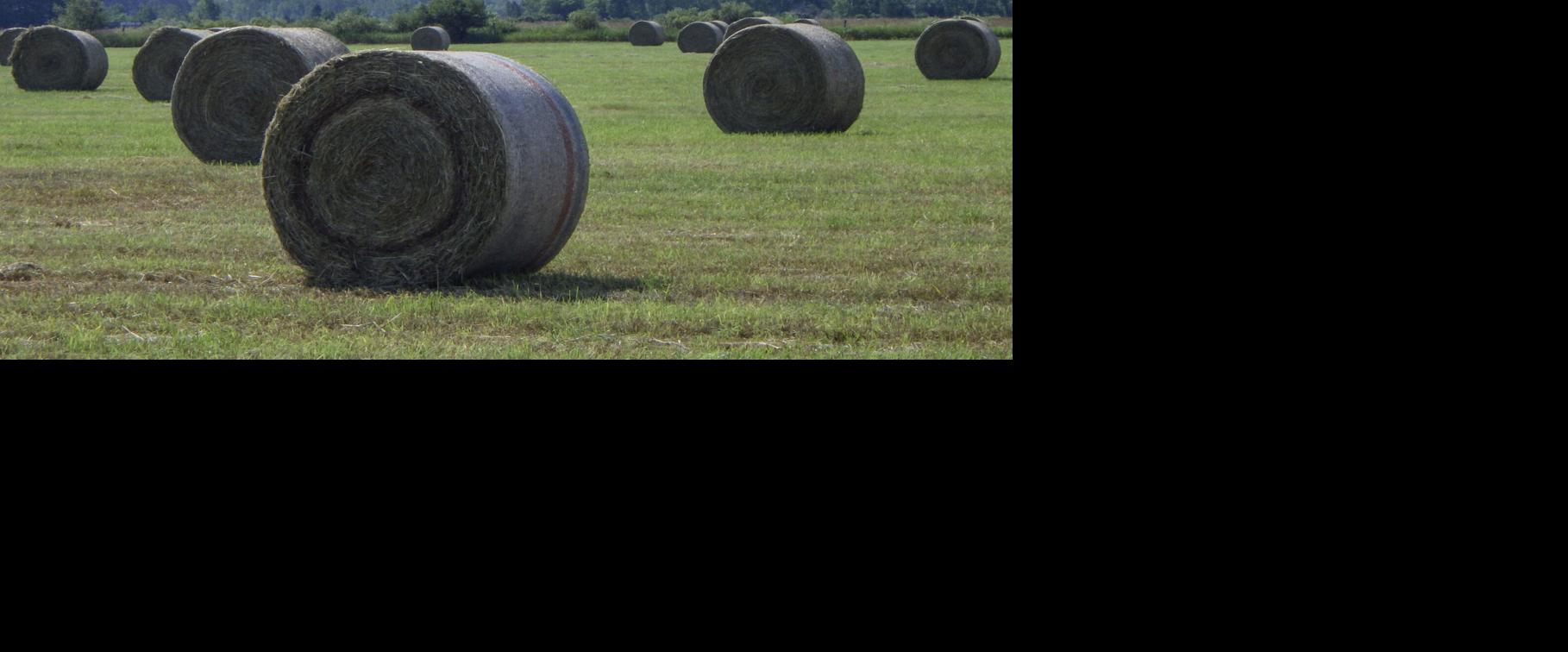 Hay bales