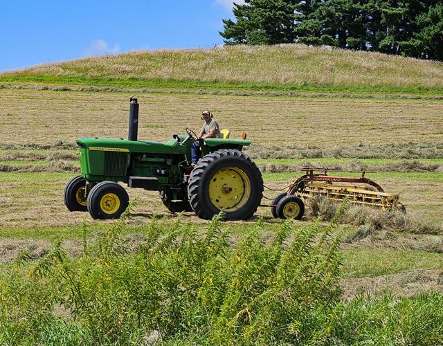 Hay rake and tractor in field
