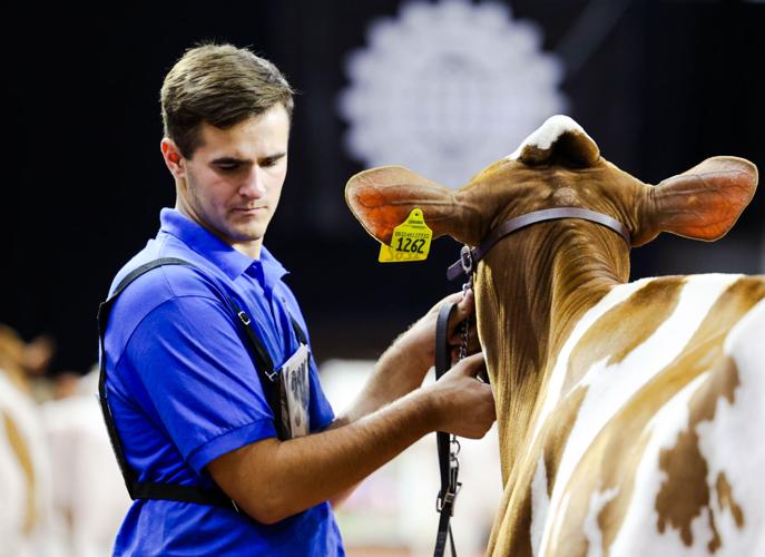 Jacob Harbaugh with red heifer