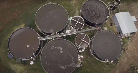 Manure treatment system