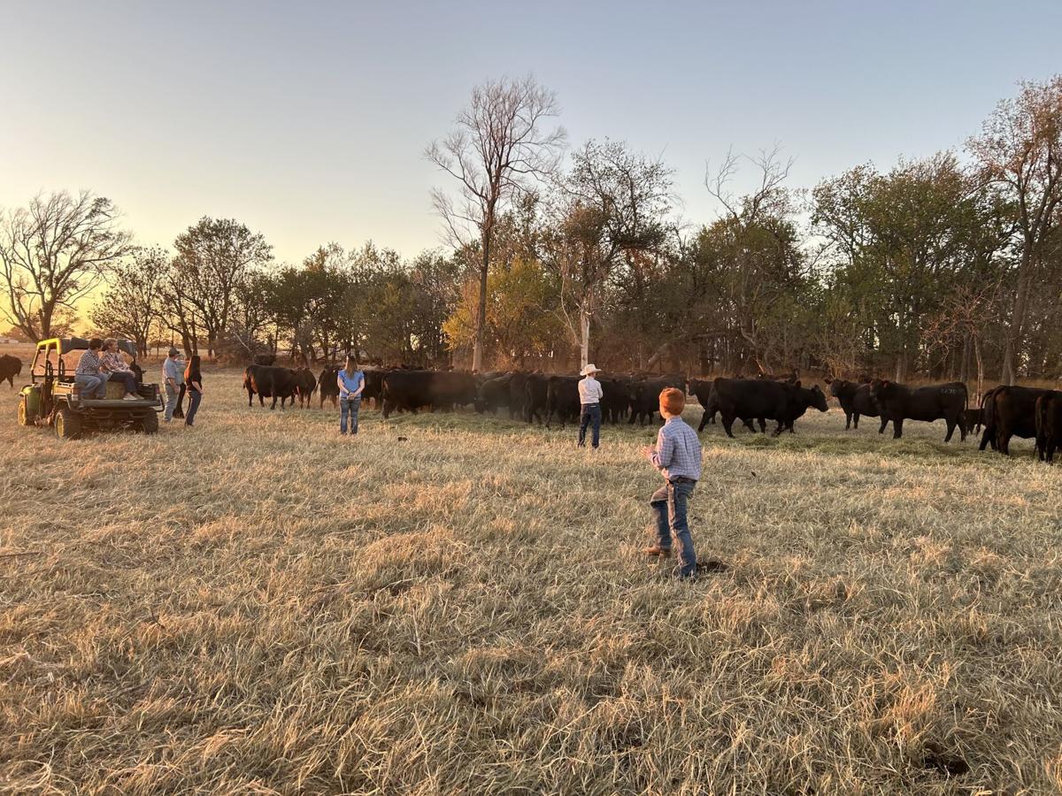 Beef genetics tour 1.jpg