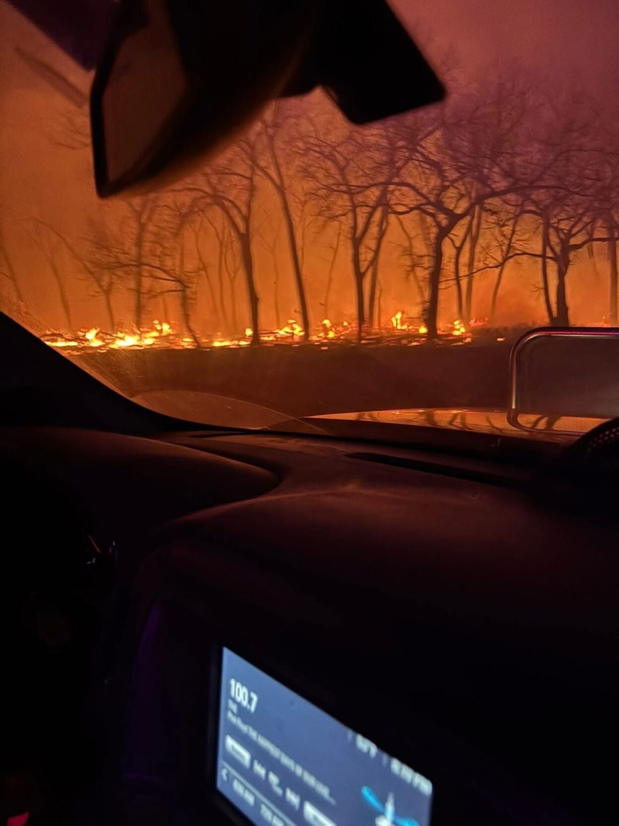 Deeply Rooted fire 1.JPG