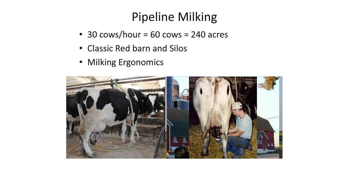 Pipeline-milking stats