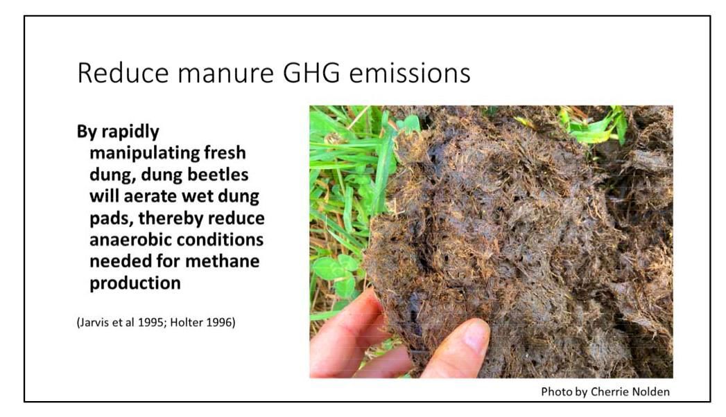 Reduce manure greenhouse-gas emissions