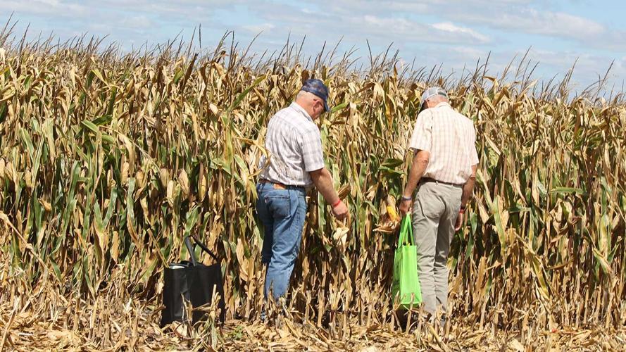 FPS Farmaers compare test corn plots