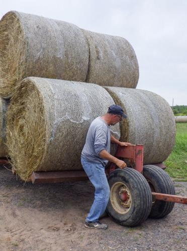 Load of hay