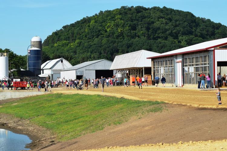 Elsing Family Farm