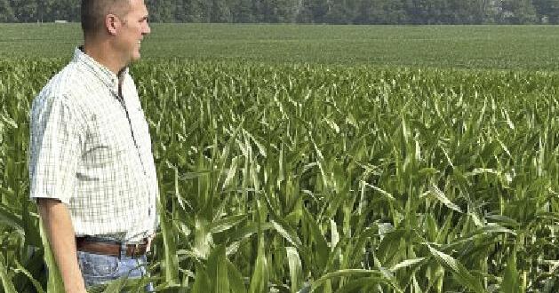 Midwest hit worst from drought - Vimarsana News