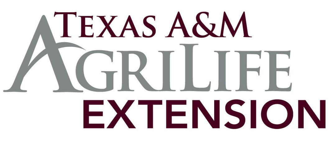 Texas A&M AgriLife Extension logo