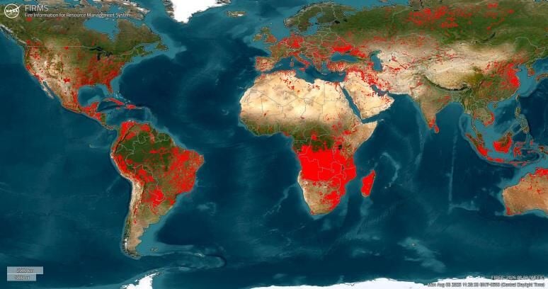 Wildfires