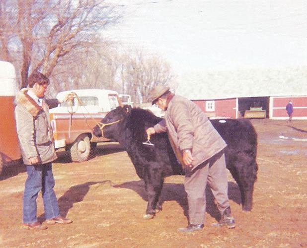 Building the breed Family uses embryo transfer to build Angus herd