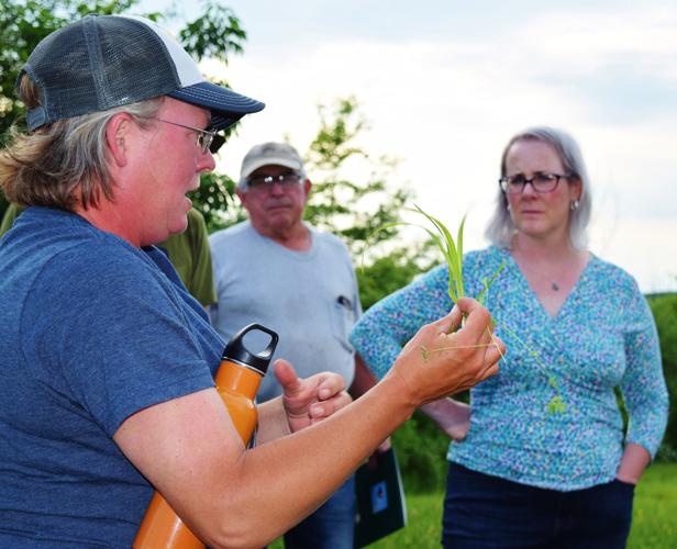 Kirsten Jurcek explains grass growth