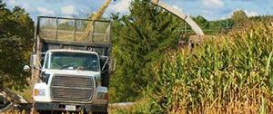 Corn silage season demands precision