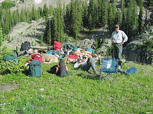 Pack goats: A hunter’s new best friend 4