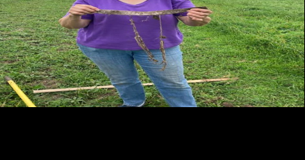 Farmers win 'Soil Your Undies' contest - Vimarsana News