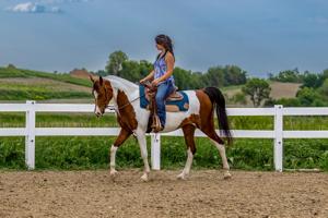 3 shaken not stirred bailey stoddard sheri savig.jpg