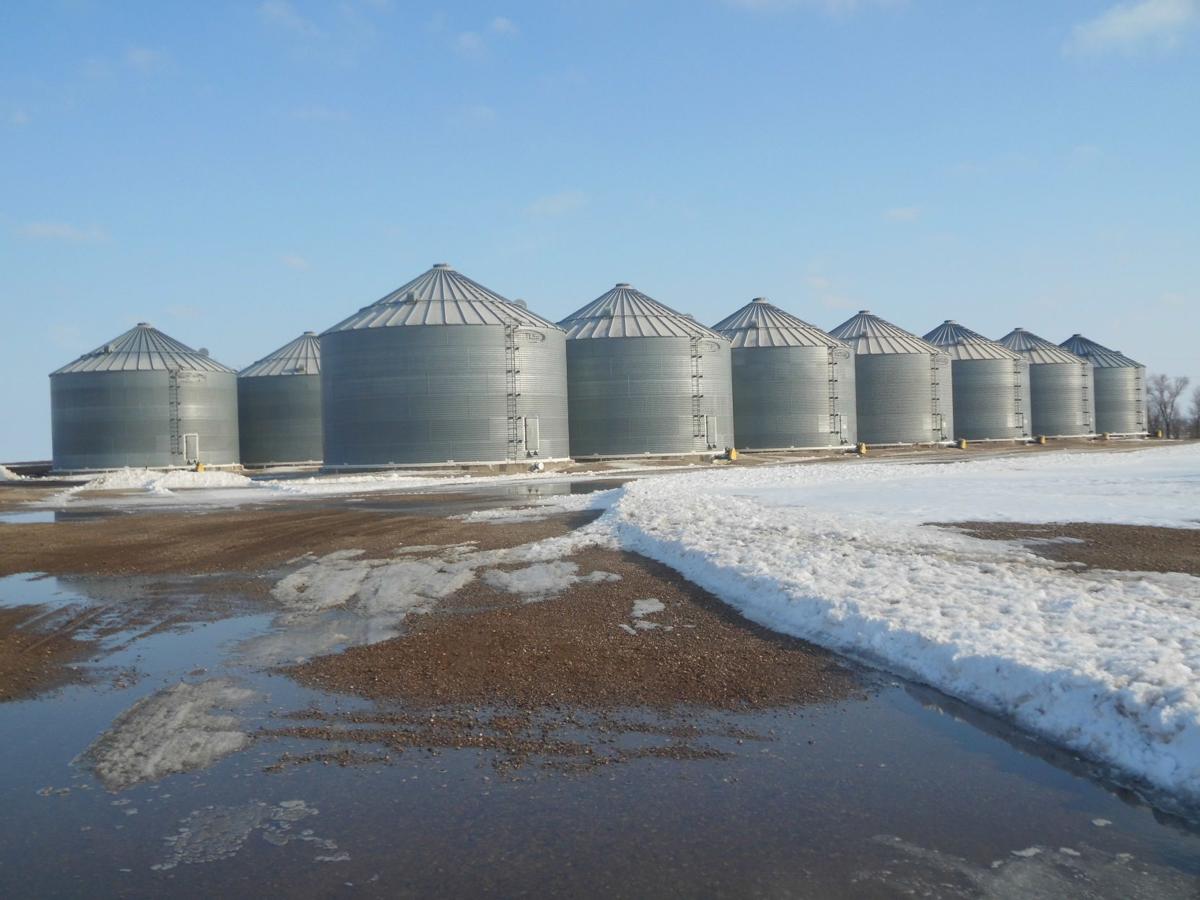 Grain farmers resort to giant storage bags to avoid cheap sales - Brainerd  Dispatch