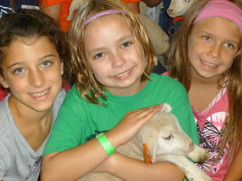 Sheep and Wool Festival offers family fun