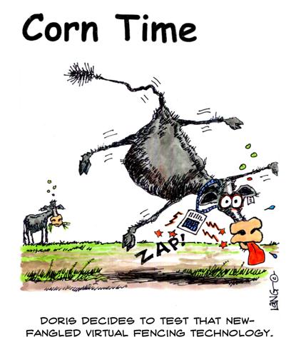 Corn Time by Bob Lang