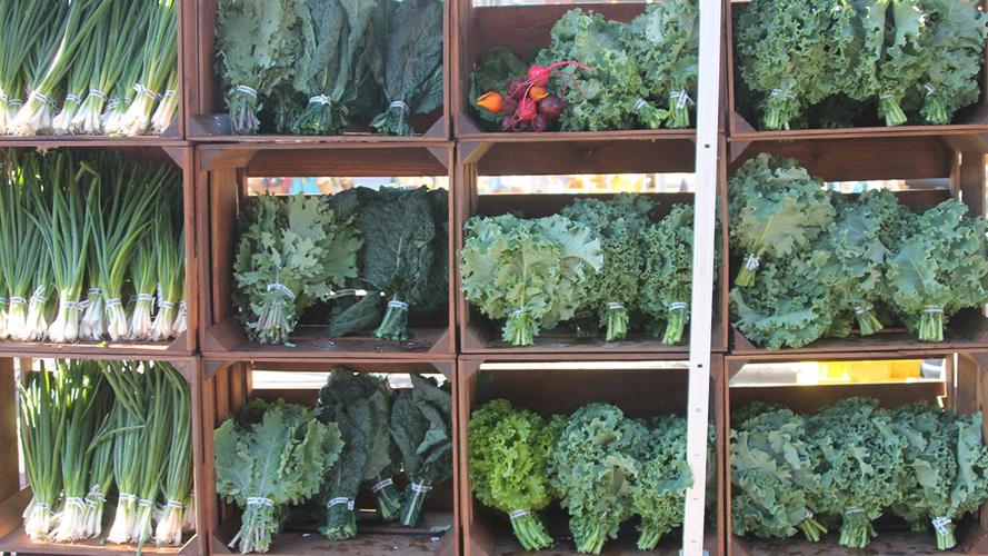 variety of vegetables